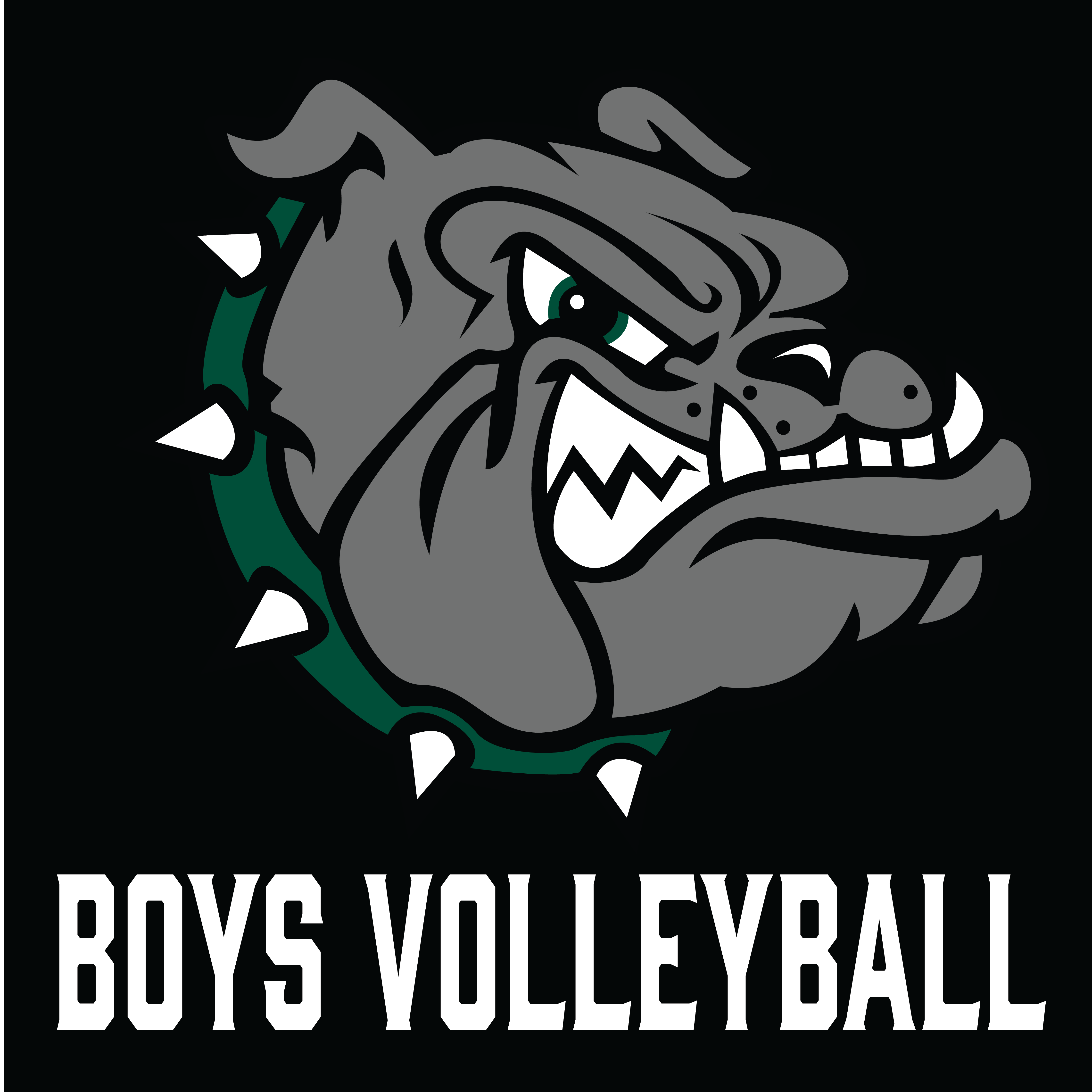 Monrovia Boys Volleyball collection